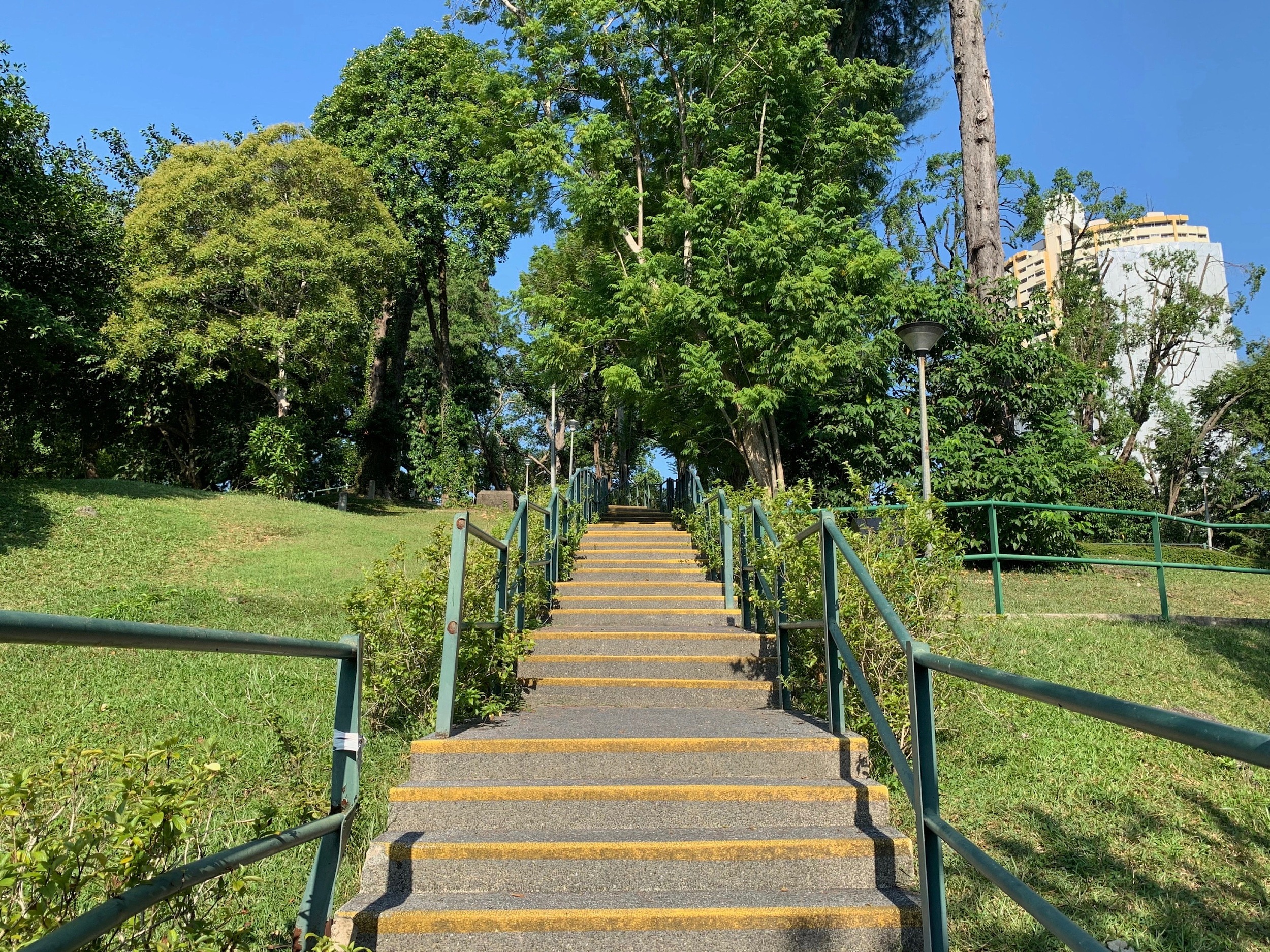 Beyond Skyscrapers: Exploring Singapore's Hidden Natural Gems